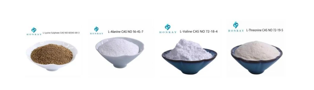 Raw Material Food Grade L-Cysteine Amino Acid