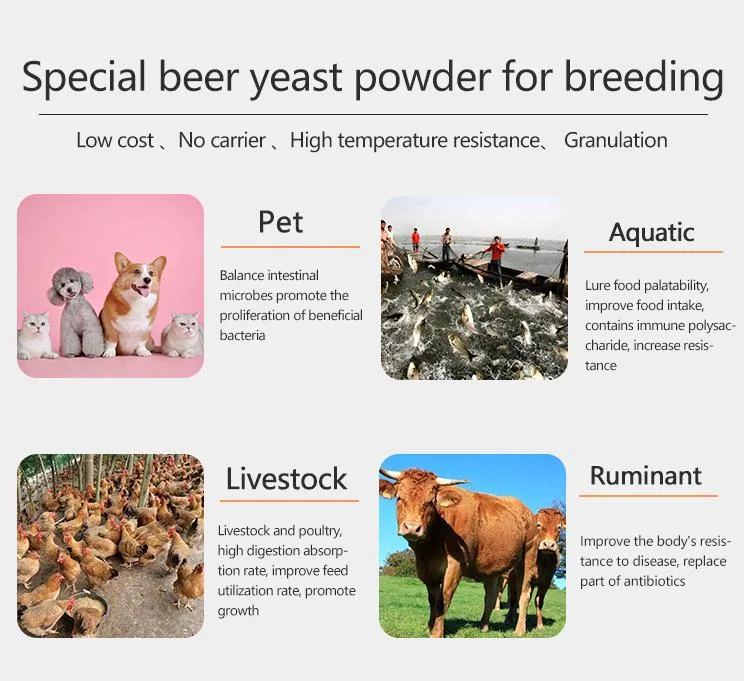 High Quality with Low Price Animal Feed Additives Yeast Powder in China